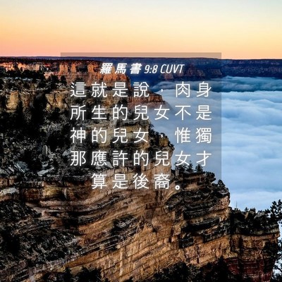 Picture 04 - 羅 馬 書 9:8 CUVT - 這 就 是 說 ， 肉 身 所 生 的 兒 女 - Bible Verse Picture