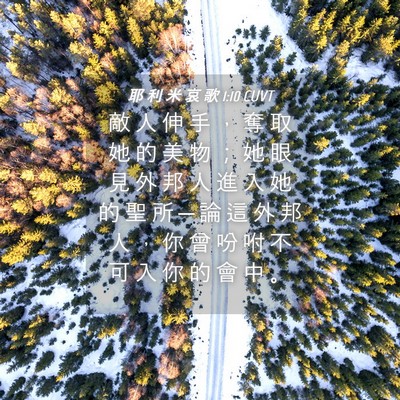 Picture 04 - 耶 利 米 哀 歌 1:10 CUVT - 敵 人 伸 手 ， 奪 取 她 的 美 物 ； - Bible Verse Picture