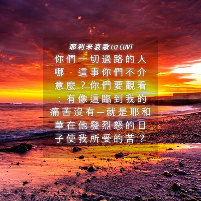 Picture 04 - 耶 利 米 哀 歌 1:12 CUVT - 你 們 一 切 過 路 的 人 哪 ， 這 事 - Bible Verse Picture