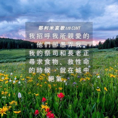 Picture 04 - 耶 利 米 哀 歌 1:19 CUVT - 我 招 呼 我 所 親 愛 的 ， 他 們 卻 - Bible Verse Picture