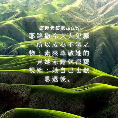 Picture 04 - 耶 利 米 哀 歌 1:8 CUVT - 耶 路 撒 冷 大 大 犯 罪 ， 所 以 成 - Bible Verse Picture