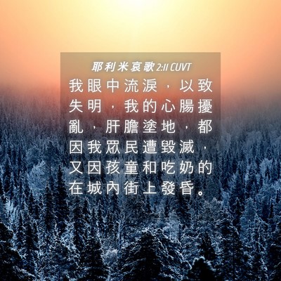 Picture 04 - 耶 利 米 哀 歌 2:11 CUVT - 我 眼 中 流 淚 ， 以 致 失 明 ， 我 - Bible Verse Picture