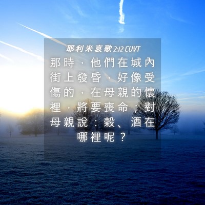 Picture 04 - 耶 利 米 哀 歌 2:12 CUVT - 那 時 ， 他 們 在 城 內 街 上 發 昏 - Bible Verse Picture