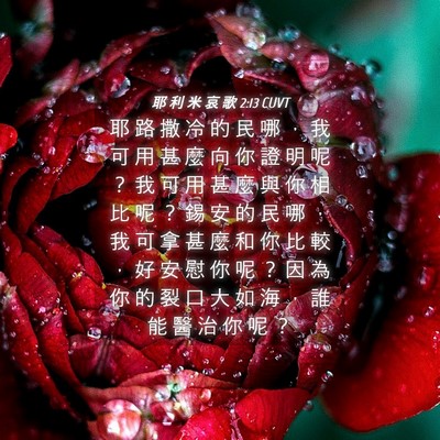 Picture 04 - 耶 利 米 哀 歌 2:13 CUVT - 耶 路 撒 冷 的 民 哪 ， 我 可 用 甚 - Bible Verse Picture