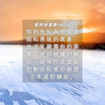 Picture 04 - 耶 利 米 哀 歌 2:14 CUVT - 你 的 先 知 為 你 見 虛 假 和 愚 昧 - Bible Verse Picture