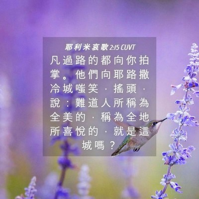 Picture 04 - 耶 利 米 哀 歌 2:15 CUVT - 凡 過 路 的 都 向 你 拍 掌 。 他 們 - Bible Verse Picture