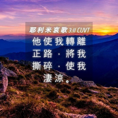 Picture 04 - 耶 利 米 哀 歌 3:11 CUVT - 他 使 我 轉 離 正 路 ， 將 我 撕 碎 - Bible Verse Picture