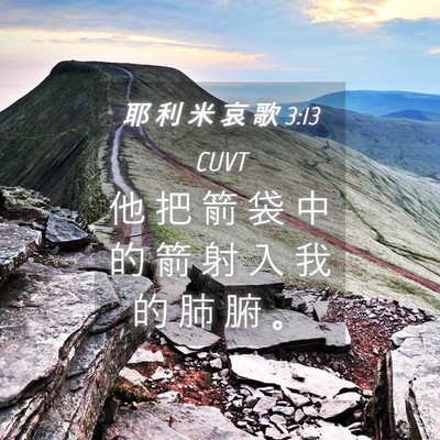 Picture 04 - 耶 利 米 哀 歌 3:13 CUVT - 他 把 箭 袋 中 的 箭 射 入 我 的 肺 - Bible Verse Picture