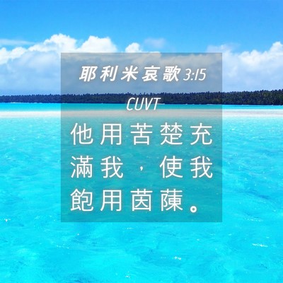 Picture 04 - 耶 利 米 哀 歌 3:15 CUVT - 他 用 苦 楚 充 滿 我 ， 使 我 飽 用 - Bible Verse Picture