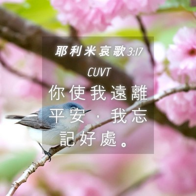 Picture 04 - 耶 利 米 哀 歌 3:17 CUVT - 你 使 我 遠 離 平 安 ， 我 忘 記 好 - Bible Verse Picture