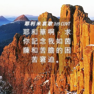 Picture 04 - 耶 利 米 哀 歌 3:19 CUVT - 耶 和 華 啊 ， 求 你 記 念 我 如 茵 - Bible Verse Picture