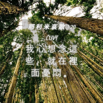 Picture 04 - 耶 利 米 哀 歌 3:20 CUVT - 我 心 想 念 這 些 ， 就 在 裡 面 憂 - Bible Verse Picture
