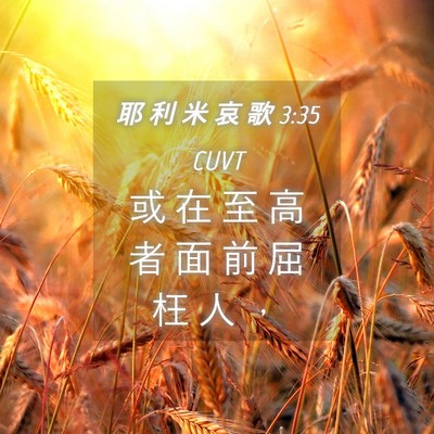 Picture 04 - 耶 利 米 哀 歌 3:35 CUVT - 或 在 至 高 者 面 前 屈 枉 人 - Bible Verse Picture
