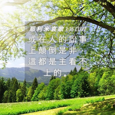 Picture 04 - 耶 利 米 哀 歌 3:36 CUVT - 或 在 人 的 訟 事 上 顛 倒 是 非 ， - Bible Verse Picture