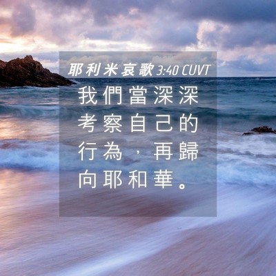 Picture 04 - 耶 利 米 哀 歌 3:40 CUVT - 我 們 當 深 深 考 察 自 己 的 行 為 - Bible Verse Picture