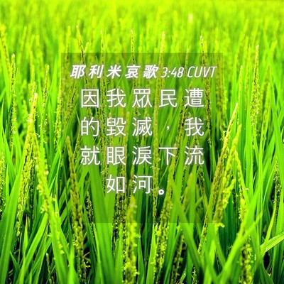 Picture 04 - 耶 利 米 哀 歌 3:48 CUVT - 因 我 眾 民 遭 的 毀 滅 ， 我 就 眼 - Bible Verse Picture