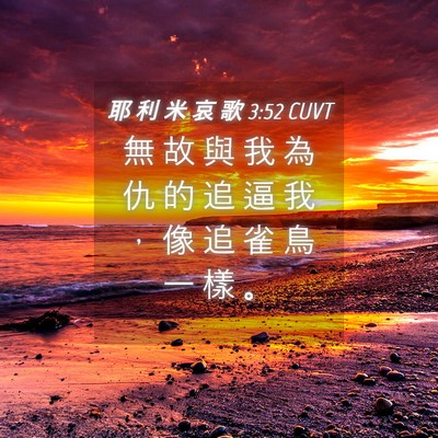 Picture 04 - 耶 利 米 哀 歌 3:52 CUVT - 無 故 與 我 為 仇 的 追 逼 我 ， 像 - Bible Verse Picture