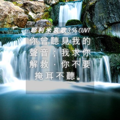Picture 04 - 耶 利 米 哀 歌 3:56 CUVT - 你 曾 聽 見 我 的 聲 音 ； 我 求 你 - Bible Verse Picture