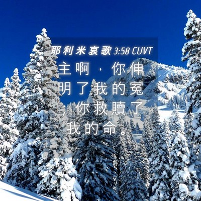 Picture 04 - 耶 利 米 哀 歌 3:58 CUVT - 主 啊 ， 你 伸 明 了 我 的 冤 ； 你 - Bible Verse Picture