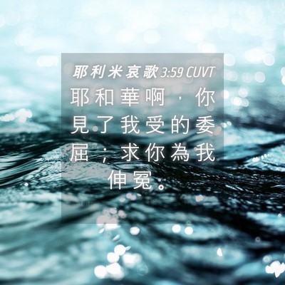 Picture 04 - 耶 利 米 哀 歌 3:59 CUVT - 耶 和 華 啊 ， 你 見 了 我 受 的 委 - Bible Verse Picture