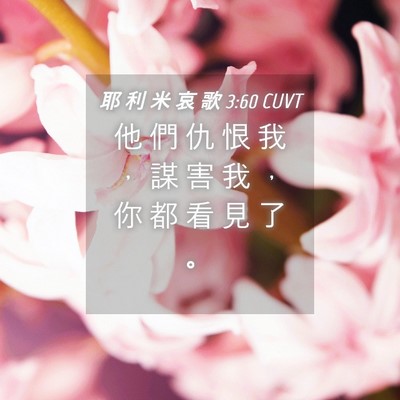 Picture 04 - 耶 利 米 哀 歌 3:60 CUVT - 他 們 仇 恨 我 ， 謀 害 我 ， 你 都 - Bible Verse Picture