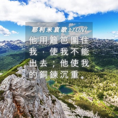 Picture 04 - 耶 利 米 哀 歌 3:7 CUVT - 他 用 籬 笆 圍 住 我 ， 使 我 不 能 - Bible Verse Picture