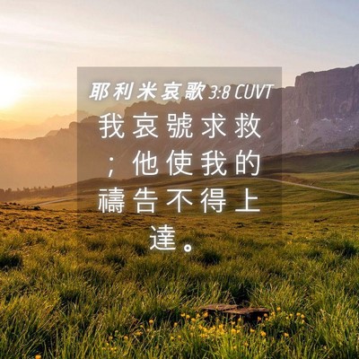 Picture 04 - 耶 利 米 哀 歌 3:8 CUVT - 我 哀 號 求 救 ； 他 使 我 的 禱 告 - Bible Verse Picture