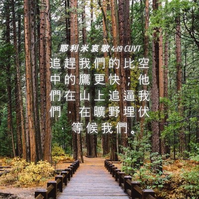 Picture 04 - 耶 利 米 哀 歌 4:19 CUVT - 追 趕 我 們 的 比 空 中 的 鷹 更 快 - Bible Verse Picture