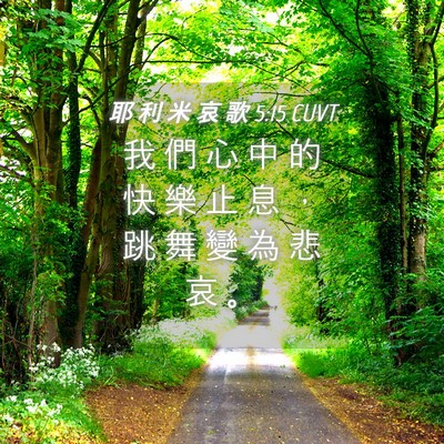 Picture 04 - 耶 利 米 哀 歌 5:15 CUVT - 我 們 心 中 的 快 樂 止 息 ， 跳 舞 - Bible Verse Picture
