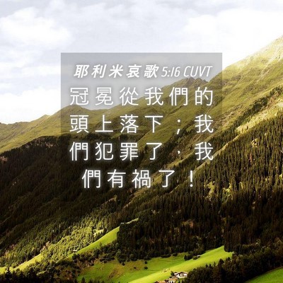 Picture 04 - 耶 利 米 哀 歌 5:16 CUVT - 冠 冕 從 我 們 的 頭 上 落 下 ； 我 - Bible Verse Picture