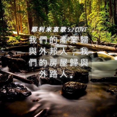 Picture 04 - 耶 利 米 哀 歌 5:2 CUVT - 我 們 的 產 業 歸 與 外 邦 人 ； 我 - Bible Verse Picture