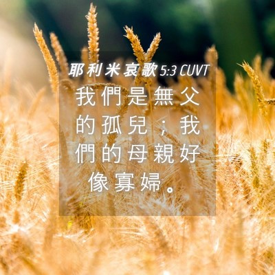 Picture 04 - 耶 利 米 哀 歌 5:3 CUVT - 我 們 是 無 父 的 孤 兒 ； 我 們 的 - Bible Verse Picture