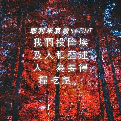 Picture 04 - 耶 利 米 哀 歌 5:6 CUVT - 我 們 投 降 埃 及 人 和 亞 述 人 ， - Bible Verse Picture