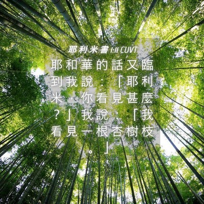 Picture 04 - 耶 利 米 書 1:11 CUVT - 耶 和 華 的 話 又 臨 到 我 說 ： 「 - Bible Verse Picture