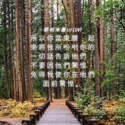 Picture 04 - 耶 利 米 書 1:17 CUVT - 所 以 你 當 束 腰 ， 起 來 將 我 所 - Bible Verse Picture