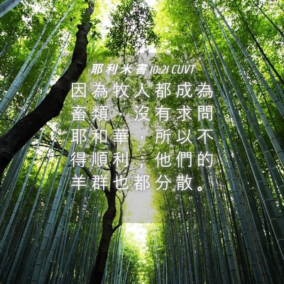 Picture 04 - 耶 利 米 書 10:21 CUVT - 因 為 牧 人 都 成 為 畜 類 ， 沒 有 - Bible Verse Picture