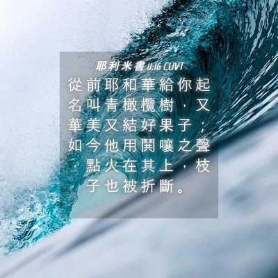Picture 04 - 耶 利 米 書 11:16 CUVT - 從 前 耶 和 華 給 你 起 名 叫 青 橄 - Bible Verse Picture
