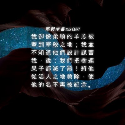 Picture 04 - 耶 利 米 書 11:19 CUVT - 我 卻 像 柔 順 的 羊 羔 被 牽 到 宰 - Bible Verse Picture