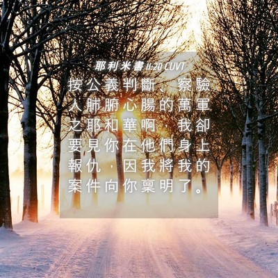 Picture 04 - 耶 利 米 書 11:20 CUVT - 按 公 義 判 斷 、 察 驗 人 肺 腑 心 - Bible Verse Picture