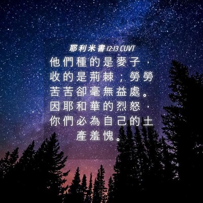 Picture 04 - 耶 利 米 書 12:13 CUVT - 他 們 種 的 是 麥 子 ， 收 的 是 荊 - Bible Verse Picture