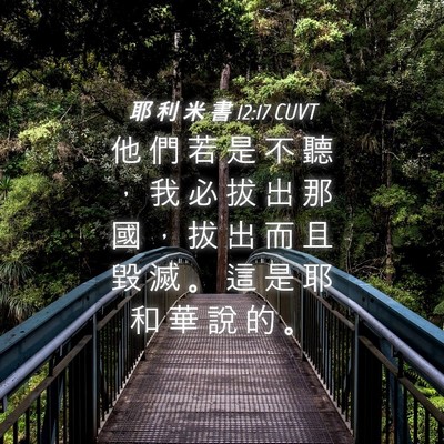Picture 04 - 耶 利 米 書 12:17 CUVT - 他 們 若 是 不 聽 ， 我 必 拔 出 那 - Bible Verse Picture