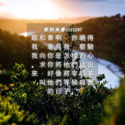 Picture 04 - 耶 利 米 書 12:3 CUVT - 耶 和 華 啊 ， 你 曉 得 我 ， 看 見 - Bible Verse Picture