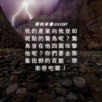 Picture 04 - 耶 利 米 書 12:9 CUVT - 我 的 產 業 向 我 豈 如 斑 點 的 鷙 - Bible Verse Picture