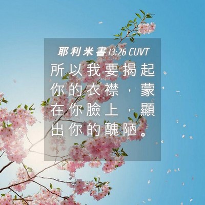 Picture 04 - 耶 利 米 書 13:26 CUVT - 所 以 我 要 揭 起 你 的 衣 襟 ， 蒙 - Bible Verse Picture
