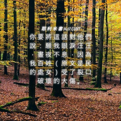 Picture 04 - 耶 利 米 書 14:17 CUVT - 你 要 將 這 話 對 他 們 說 ： 願 我 - Bible Verse Picture