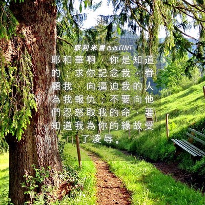 Picture 04 - 耶 利 米 書 15:15 CUVT - 耶 和 華 啊 ， 你 是 知 道 的 ； 求 - Bible Verse Picture