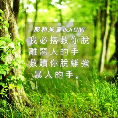 Picture 04 - 耶 利 米 書 15:21 CUVT - 我 必 搭 救 你 脫 離 惡 人 的 手 ， - Bible Verse Picture
