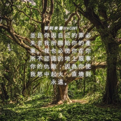 Picture 04 - 耶 利 米 書 17:4 CUVT - 並 且 你 因 自 己 的 罪 必 失 去 我 - Bible Verse Picture
