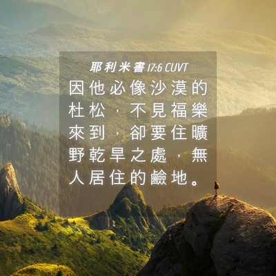 Picture 04 - 耶 利 米 書 17:6 CUVT - 因 他 必 像 沙 漠 的 杜 松 ， 不 見 - Bible Verse Picture