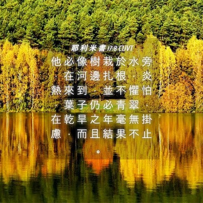 Picture 04 - 耶 利 米 書 17:8 CUVT - 他 必 像 樹 栽 於 水 旁 ， 在 河 邊 - Bible Verse Picture